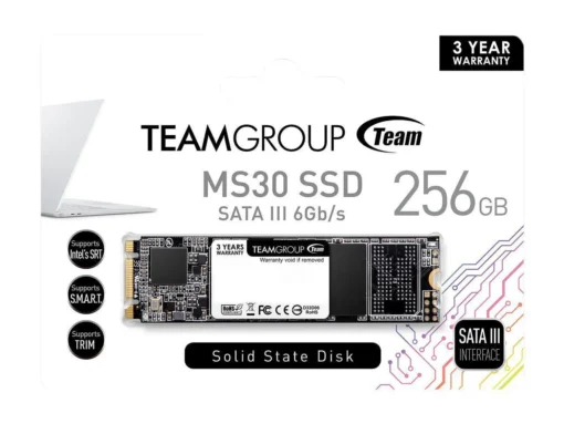 SSD диск Team Group MS30 M.2 2280 256GB SATA III