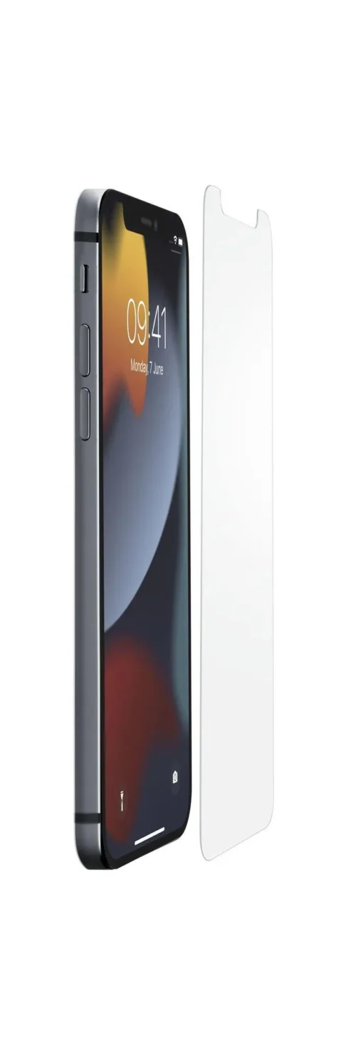 Протектор за iPhone 13 Pro Max