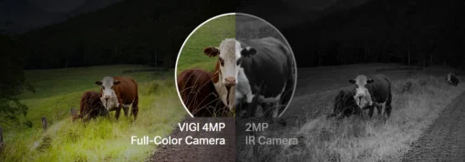 4MP външна пълноцветна панорамна и наклонена мрежова камера TP-Link VIGI