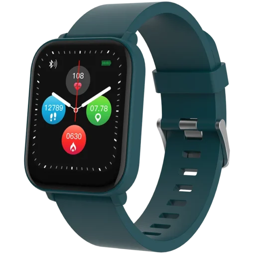 Смарт часовник CANYON smart watch Easy SW-54 Green