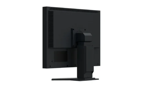 Медицински монитор EIZO RadiForce S2134-BK Цветен