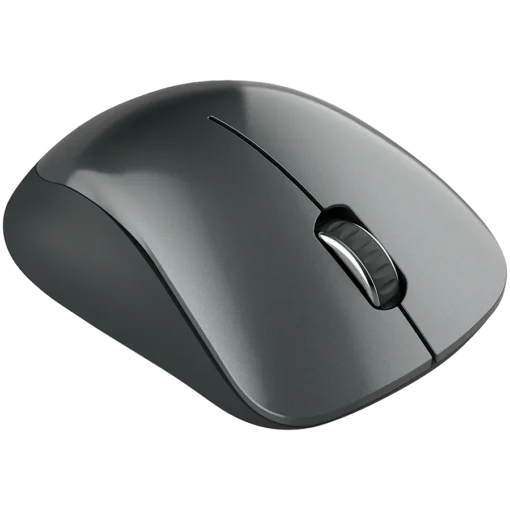 Безжична мишка CANYON mouse MW-11 Wireless Black