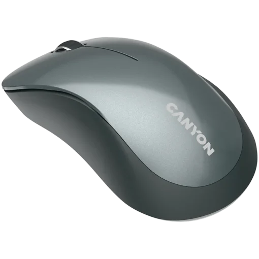 Безжична мишка CANYON mouse MW-11 Wireless Black