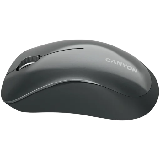 Безжична мишка CANYON mouse MW-11 Wireless Black