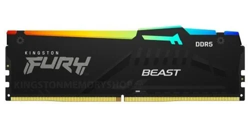 Kingston памет DDR5 Fury Beast Black RGB 16GB(1*16GB)/5600 CL36 EXPO