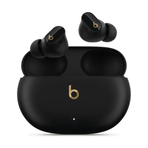 Apple Beats Studio Buds + Wireless Headphones - Black with Gold