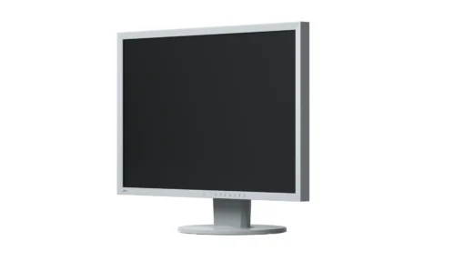 Монитор EIZO FlexScan EV2430, IPS, 24 inch, Wide, UXGA, DVI-D, DisplayPort, D-Sub, USB Hub, Сив - Image 2