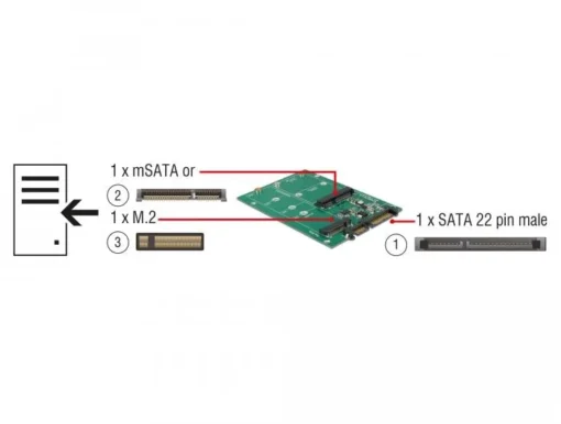 Конвертор Delock SATA 22 pin > 1 x M.2 + 1 x mSATA - Image 2