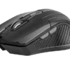 Tracer Mouse Fairy black RF nano