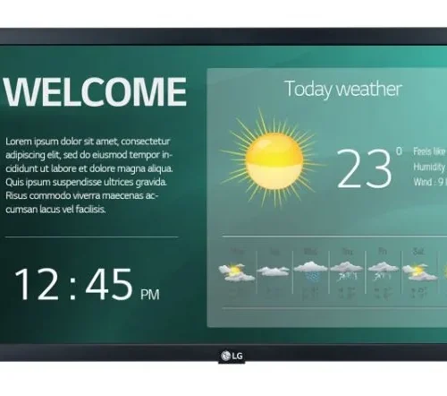 LG Electronics Monitor 22 inches 22SM3G 250cd/m2 16/7