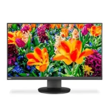 NEC Monitor Multisync E243F IPS DP USB-C Black