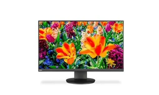 NEC Monitor Multisync E243F IPS DP USB-C Black