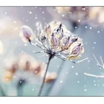 Samsung Professional monitor VM46B-U 46 inch Video wall Mat 24h/7 500(cd/m2) 1920 x 1080(FHD) N/A 3 years On-Site