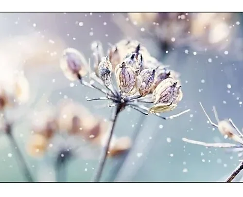 Samsung Professional monitor VM46B-U 46 inch Video wall Mat 24h/7 500(cd/m2) 1920 x 1080(FHD) N/A 3 years On-Site