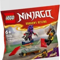 LEGO Bricks Ninjago 30675 Tournament Training Ground