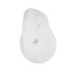 Natec Vertical Mouse Crake 2 Wireless white