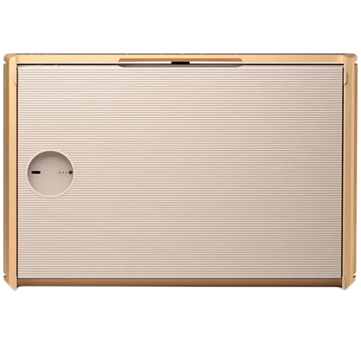 Тонколона Bang & Olufsen Beosound Level Gold Tone Alu/Light Oak - FLEX - Image 4