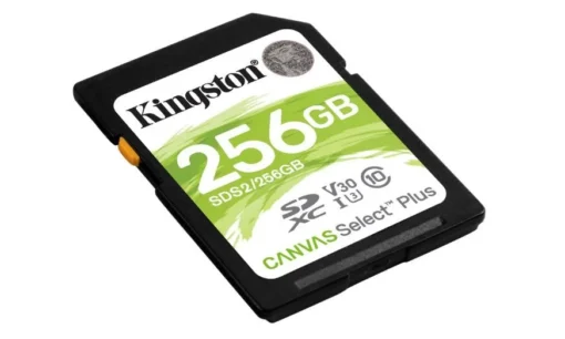 Kingston SD 256GB Canvas Select Plus R100MB/s - Image 2