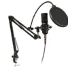 BLOW Microphone Recording with handle