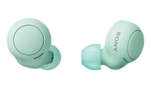 Sony Earphones WF-C500 green