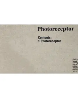 БАРАБАН (OPC DRUM) ЗА XEROX 5017/5317/5316 - Photoreceptor - Black - PN 001R00307
