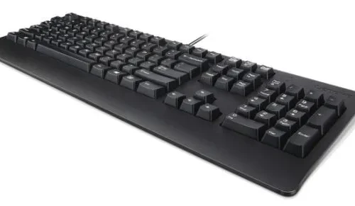 Lenovo USB клавиатура черен US Euro103P 4X30M86918