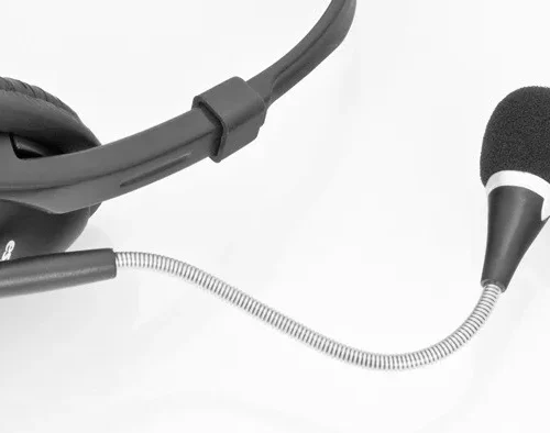 Esperanza Stereo headset with microphone and volume control EH115