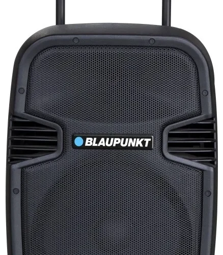 Blaupunkt Audio system PA12 PLL Karaoke