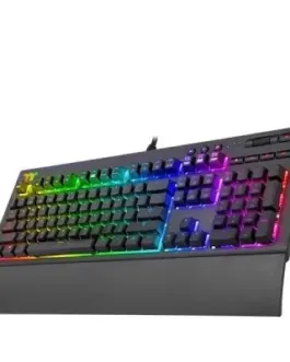 Thermaltake Keyboard Tt eSPORTs - Premium X1 RGB Cherry MX Silver Speed