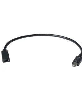 i-tec i-tec USB-C Кабел удължителен 30 cm