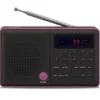 Eltra Radio Pliszka USB FM черен