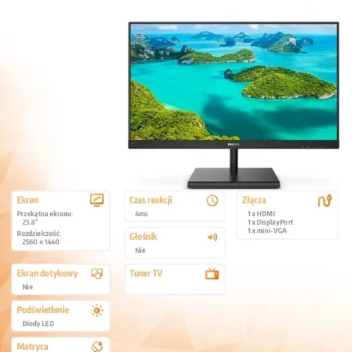 Philips Monitor 245E1S 23.8 IPS HDMI DP FreeSync