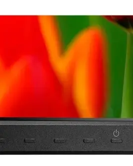 Alternative view of NEC Monitor Multisync E243F IPS DP USB-C черен