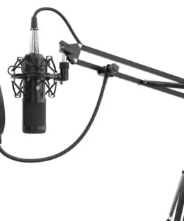 Natec Microphone Genesis Radium 300 studio XLR with Pop-filter arm