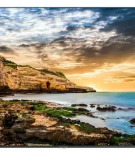 Samsung професионален монитор QE43T 43 инча гланц 16h/7 300(cd/m2) 3840x2160 (UHD) Lite Player (only) 3 години On-Site