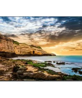 Samsung Professional монитор QE50T 50 inch glossy16h/7 300(cd/m2) 3840x2160 (UHD) Lite Player (only) 3 years On-Site