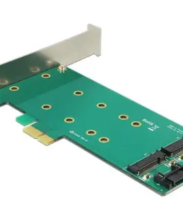 Карта Delock PCI Express x1 - 2 x internal M.2 Key B 110 mm