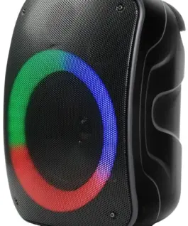 Rebeltec Bluetooth speaker Rebelt ec STAGE 300