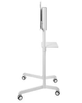 Alternative view of Neomounts NS-M1250 бял floor stand 37-70 70KG 200x200-600x400