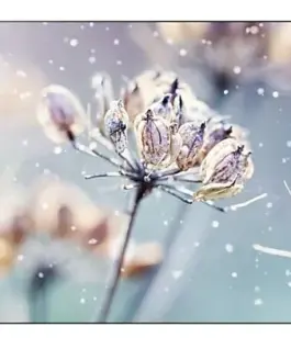 Samsung Professional монитор VM46B-U 46 inch Video wall Mat 24h/7 500(cd/m2) 1920 x 1080(FHD) N/A 3 years On-Site