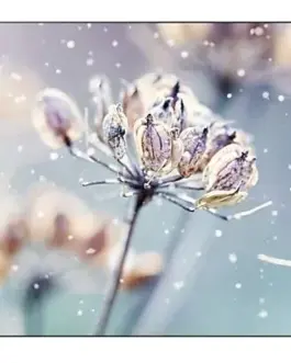 Samsung Professional монитор VM46B-U 46 inch Video wall Mat 24h/7 500(cd/m2) 1920 x 1080(FHD) N/A 3 years On-Site