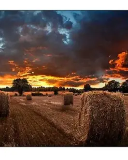 Samsung Professional монитор VM55B-U 55 inch Video Wall Mat 24h/7 500(cd/m2) 1920 x 1080(FHD) N/A 3 years On-Site