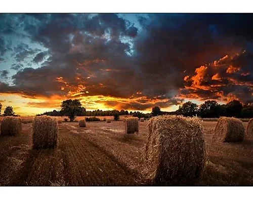 Samsung Professional monitor VM55B-U 55 inch Video Wall Mat 24h/7 500(cd/m2) 1920 x 1080(FHD) N/A 3 years On-Site