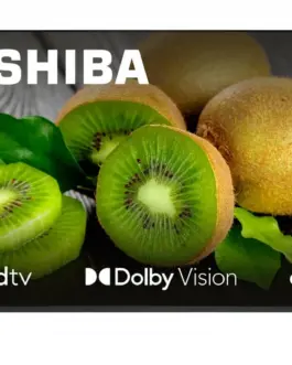 Toshiba TV LED 55 inches 55UA5D63DG