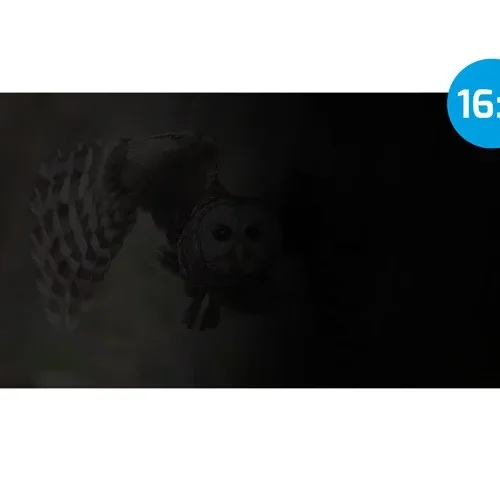 Natec Privacy filter Owl