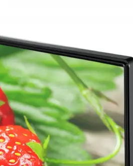 Alternative view of Toshiba TV QLED 50 inch 50QA5D63DG