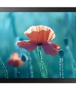 Samsung Professional монитор QB13R-T 13 inch Matte Touch 16h/7 250(cd/m2) 1920x1080 (FHD) S6 Player Wi-Fi 3 years OnSite