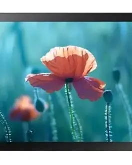 Samsung Professional монитор QB13R-T 13 inch Matte Touch 16h/7 250(cd/m2) 1920x1080 (FHD) S6 Player Wi-Fi 3 years OnSite