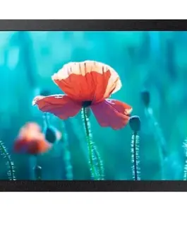 Samsung Professional монитор QB13R 13 inch Matte 16h/7 300(cd/m2) 1920x1080 (FHD) S6 Player Wi-Fi 3 years d2d