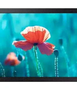 Samsung Professional монитор QB13R 13 inch Matte 16h/7 300(cd/m2) 1920x1080 (FHD) S6 Player Wi-Fi 3 years d2d